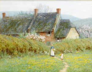 Boterbloemen, nabij Bridport, Dorset